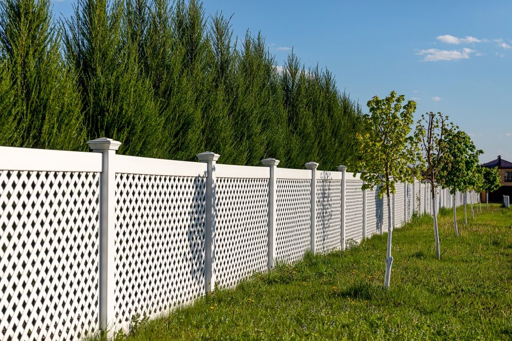 A white vinyl lattice fence with square posts beside a row of tall evergreens