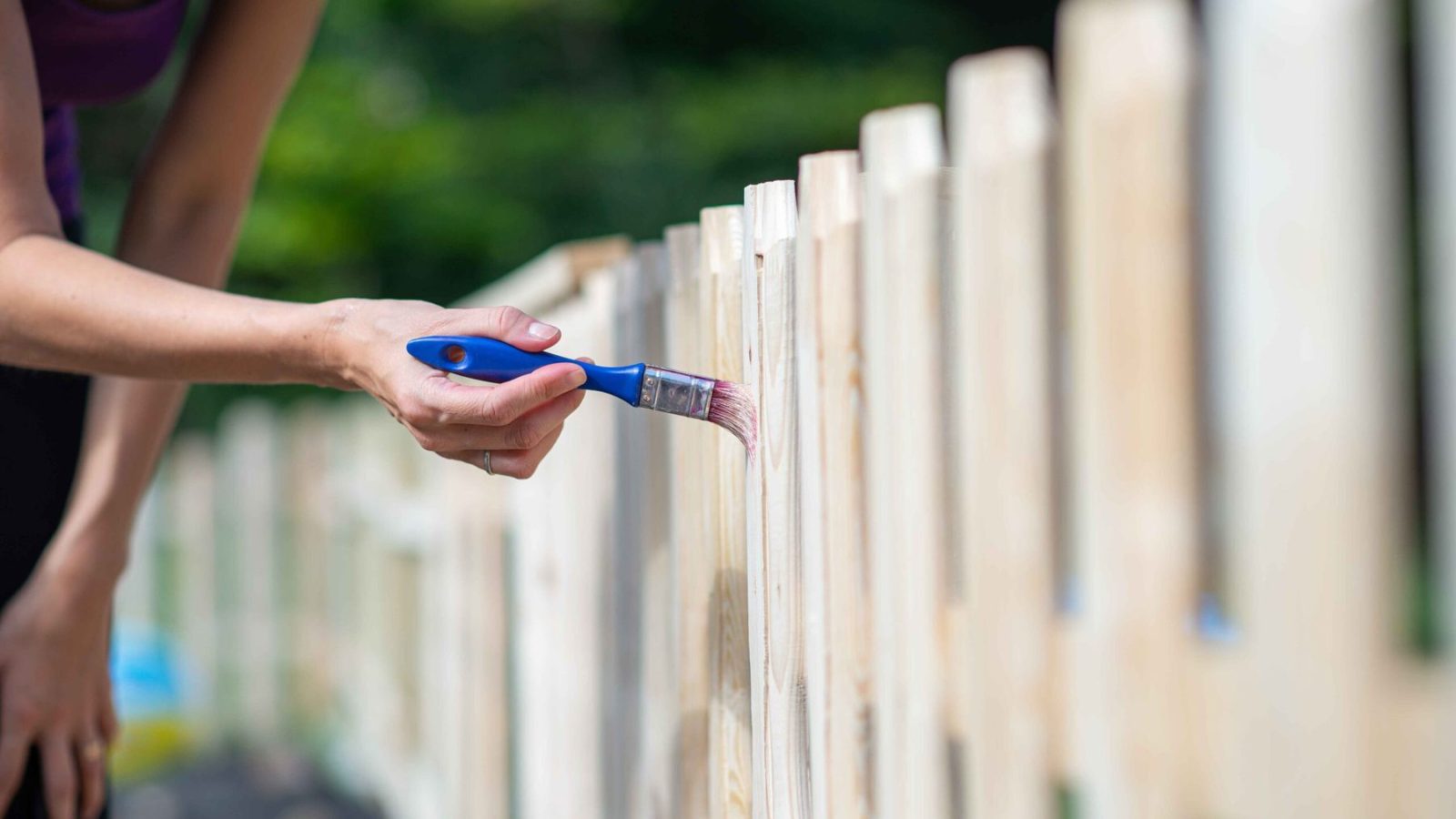 Best Practices for Protecting Your Fence Against Weather Damage