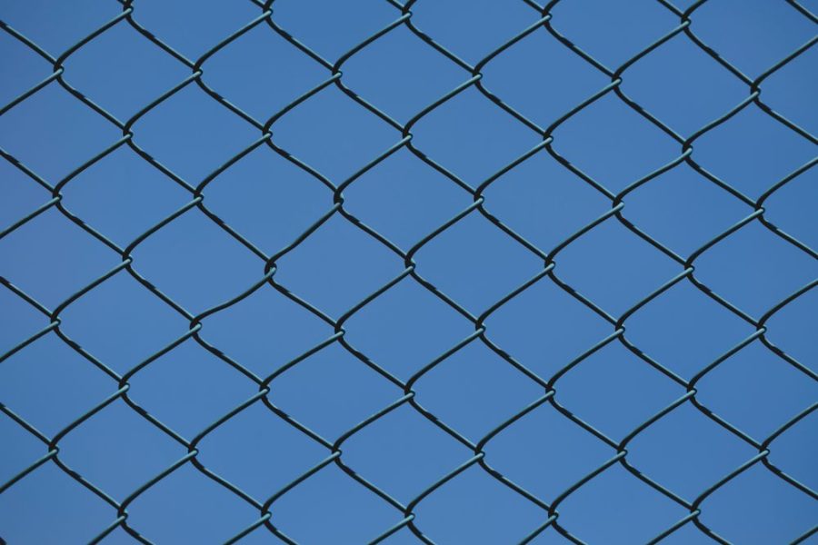 Chain Link