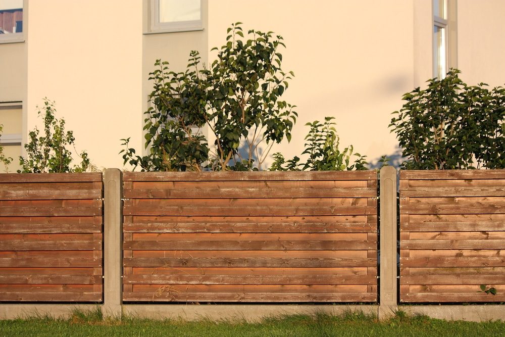 Horizontal wood plank fence with concrete posts along a lawn, with shrubs growing behind it