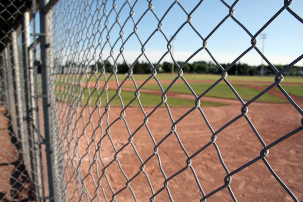 Why Baton Rouge Owners Choose Chain Link