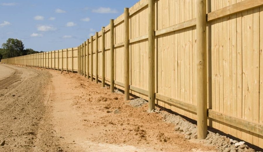 Is Pressure-Treated Wood Good for Fences?