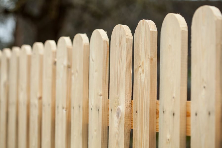 Find Out What Are the Best Woods for Fences