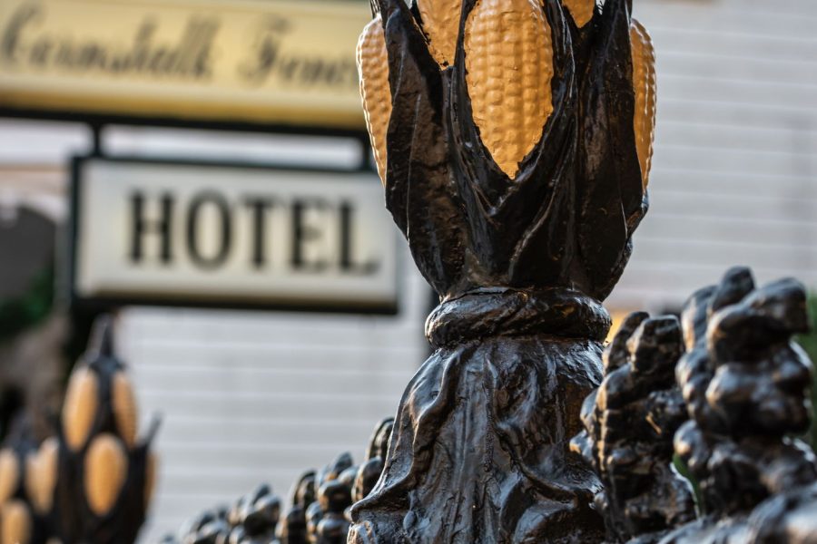 Custom Entry Gate