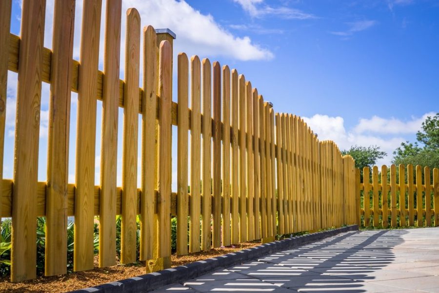 The Debate Over Longevity: Pressure-Treated Wood vs Cedar