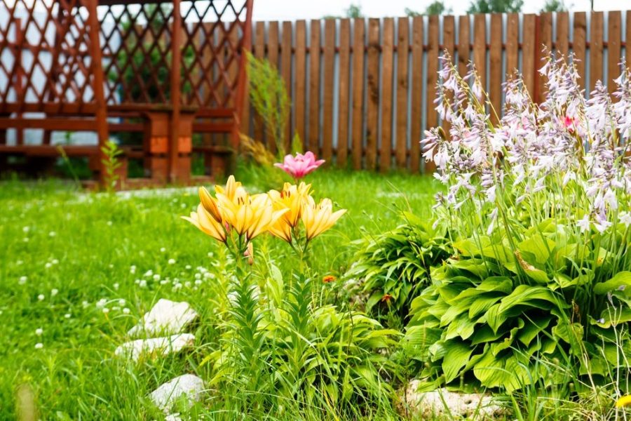 Garden Fencing Materials in New Orleans: Which One Is Right for Me?