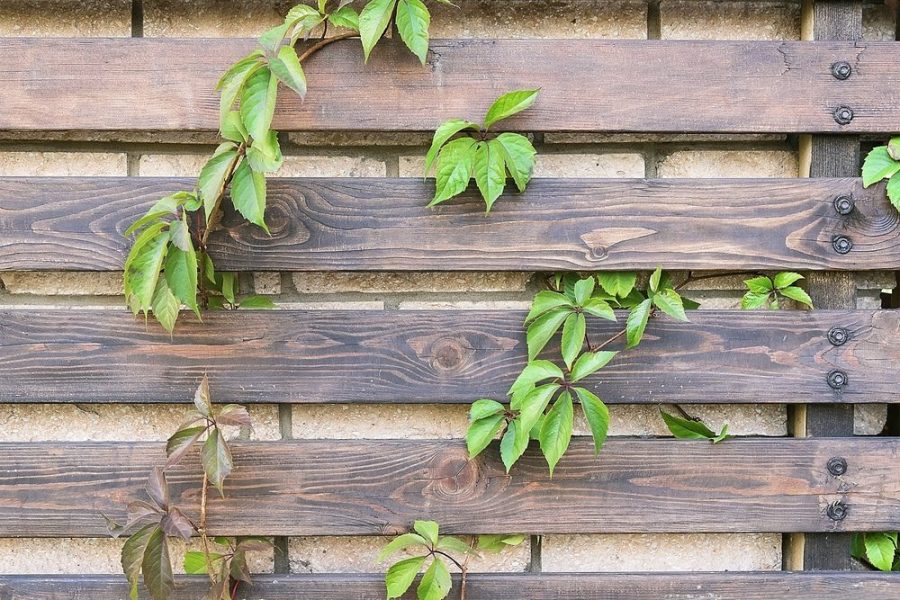 Horizontal vs Vertical Fence: Which Is Cheaper and Better for Your Property?