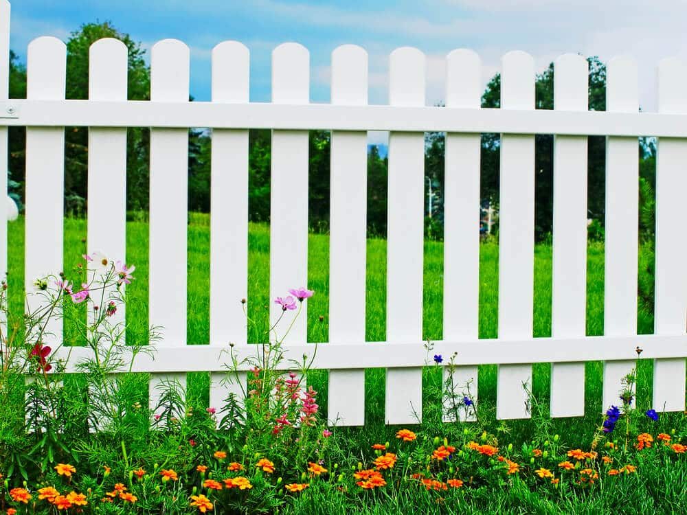 A white vinyl picket fence with pink and orange flowers growing in front of it
