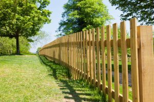 A wood picket fence curving along a grassy lawn under tall trees