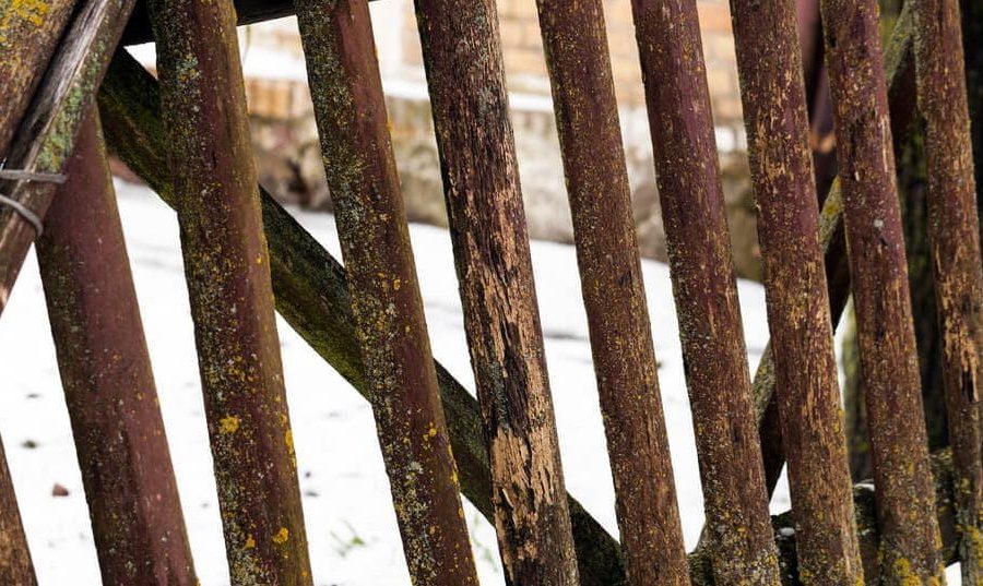 How to Prevent Rot in Wooden Fences