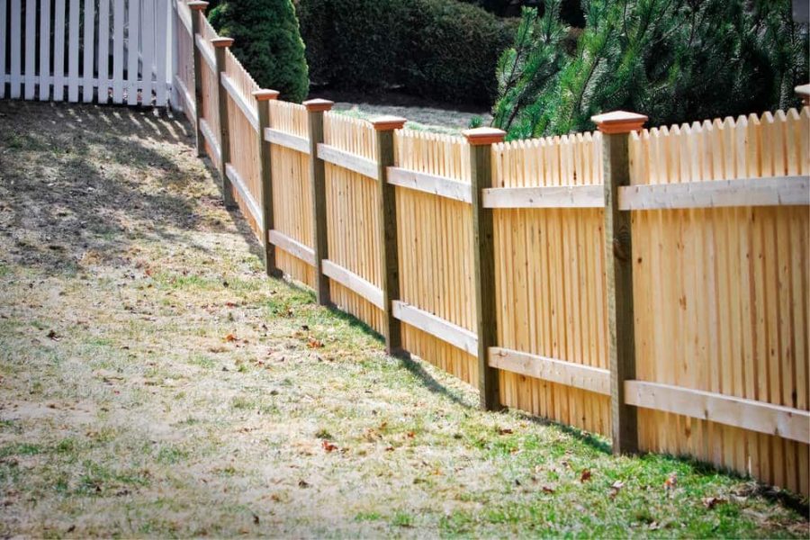 Is Pine or Cedar Better for a Fence?