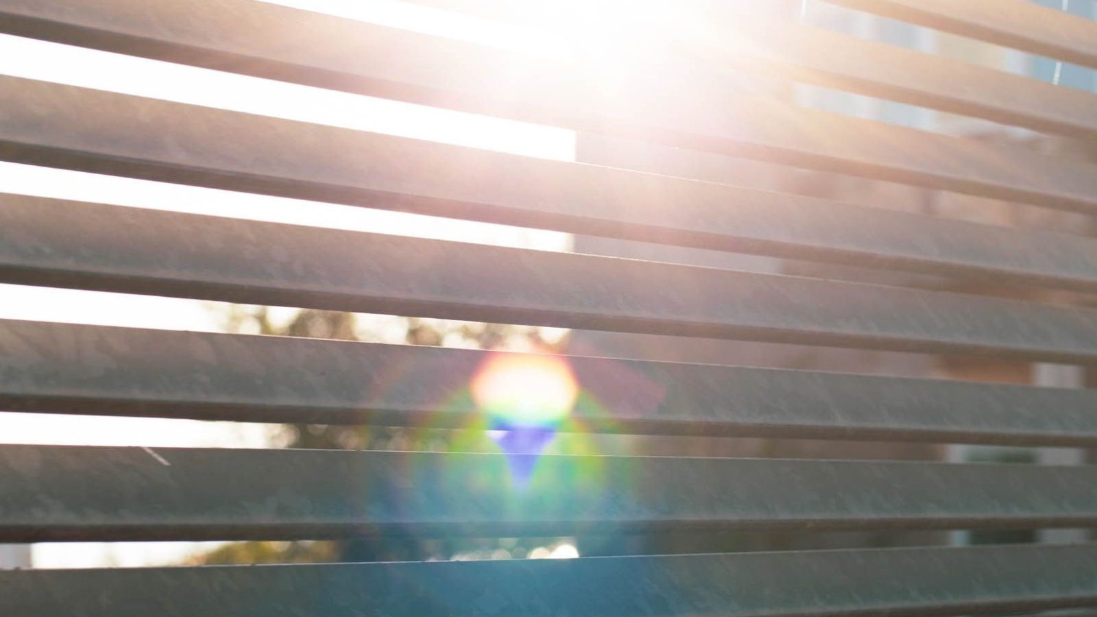 Metal Fence Design Choices in Gonzales