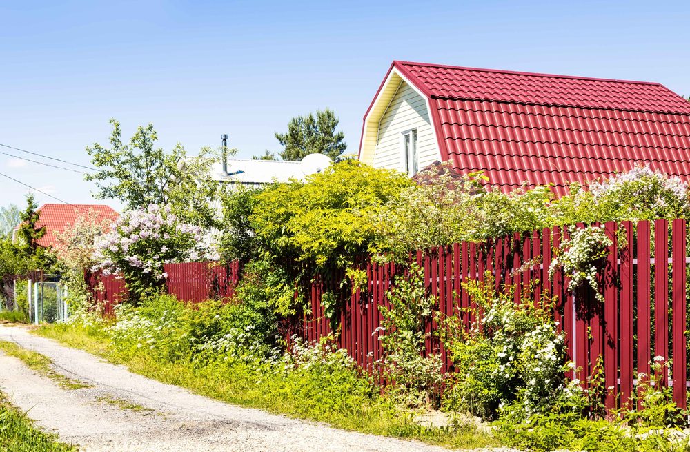 A deep red picket fence surrounded by flowering lilac bushes in front of a house with a matching red roof