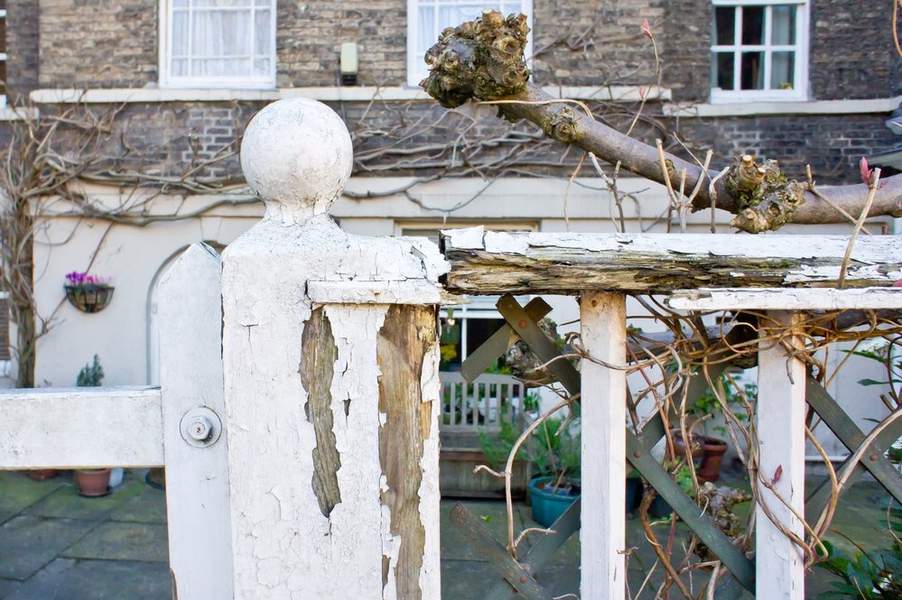 A white fence post with peeling paint beside a weathered, splintered top rail