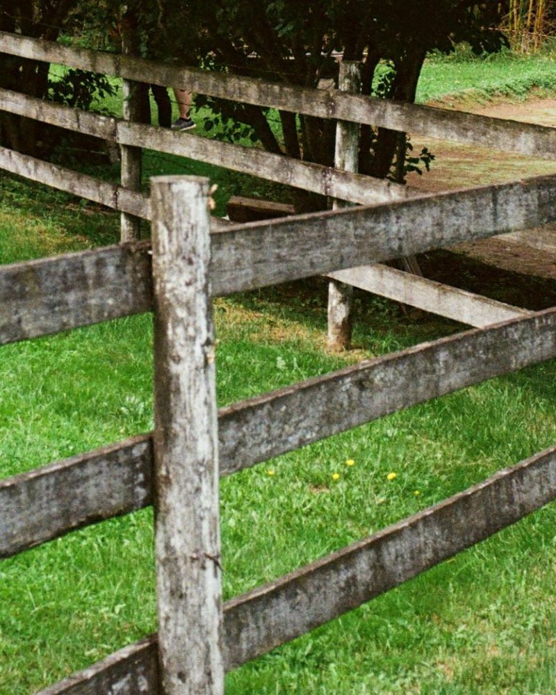 Split-Rail Fence