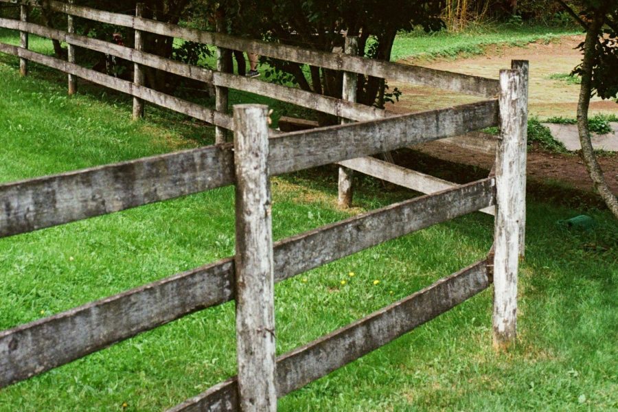Budget-Friendly Sustainable Fencing Ideas for New Homeowners in New Orleans, LA
