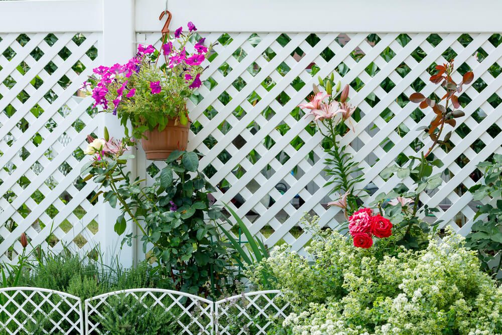 A white vinyl lattice fence with a hanging flower basket and garden plants in front