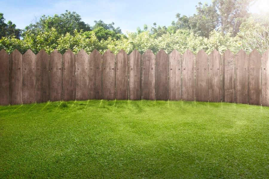 Which Is Better, Cedar or Pressure-Treated Wood?