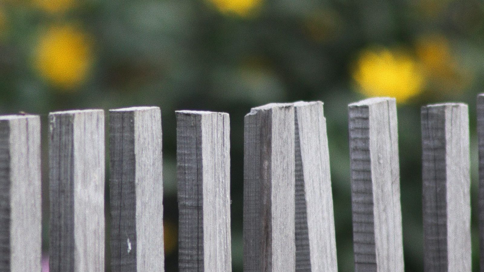 What Your Fence Needs to Do