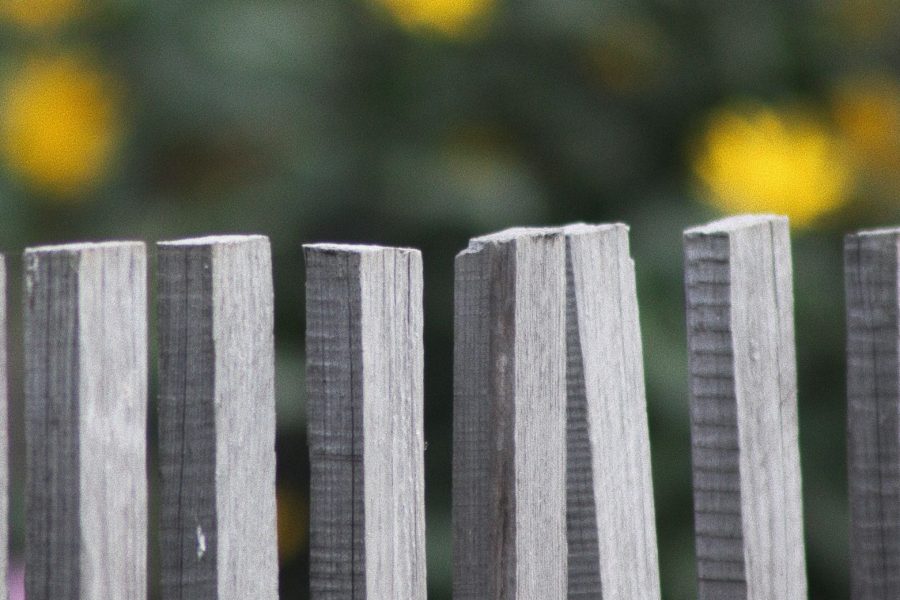 How to Clean Wood Fence Without a Pressure Washer