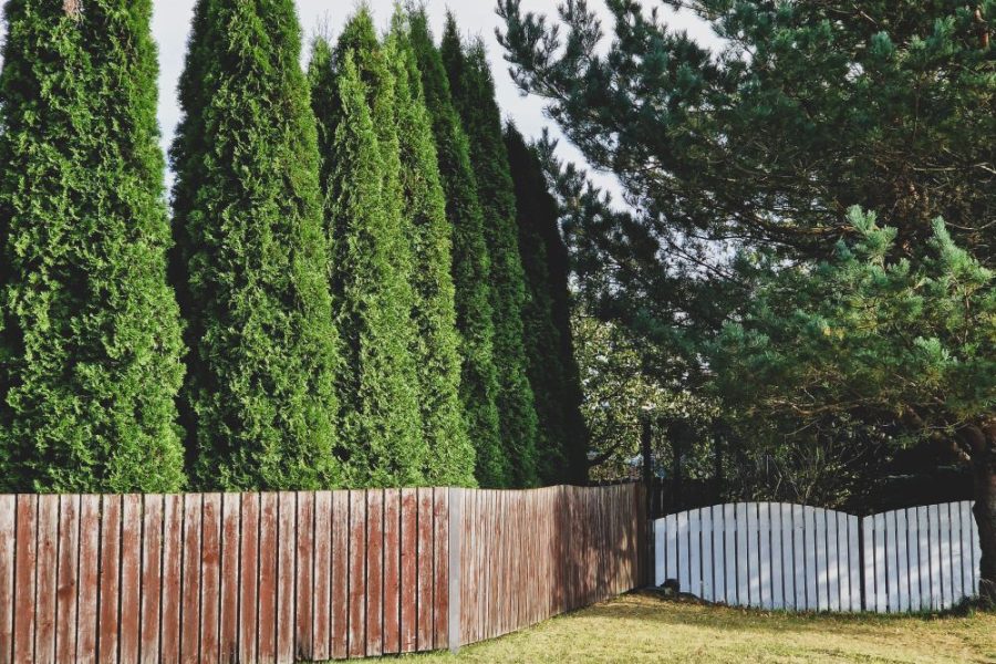 Wood Privacy Fence