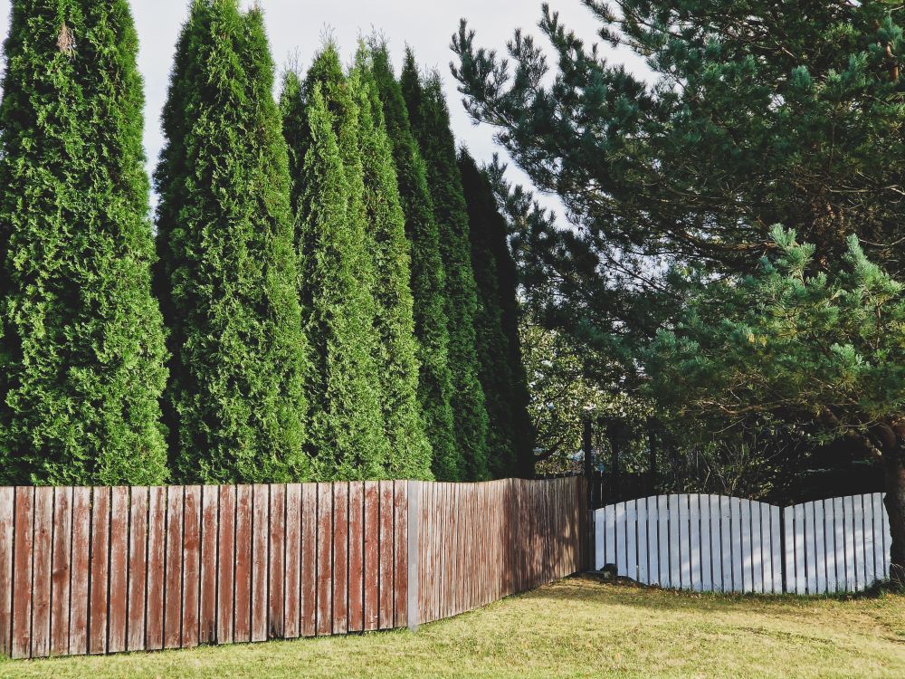Residential Fencing
