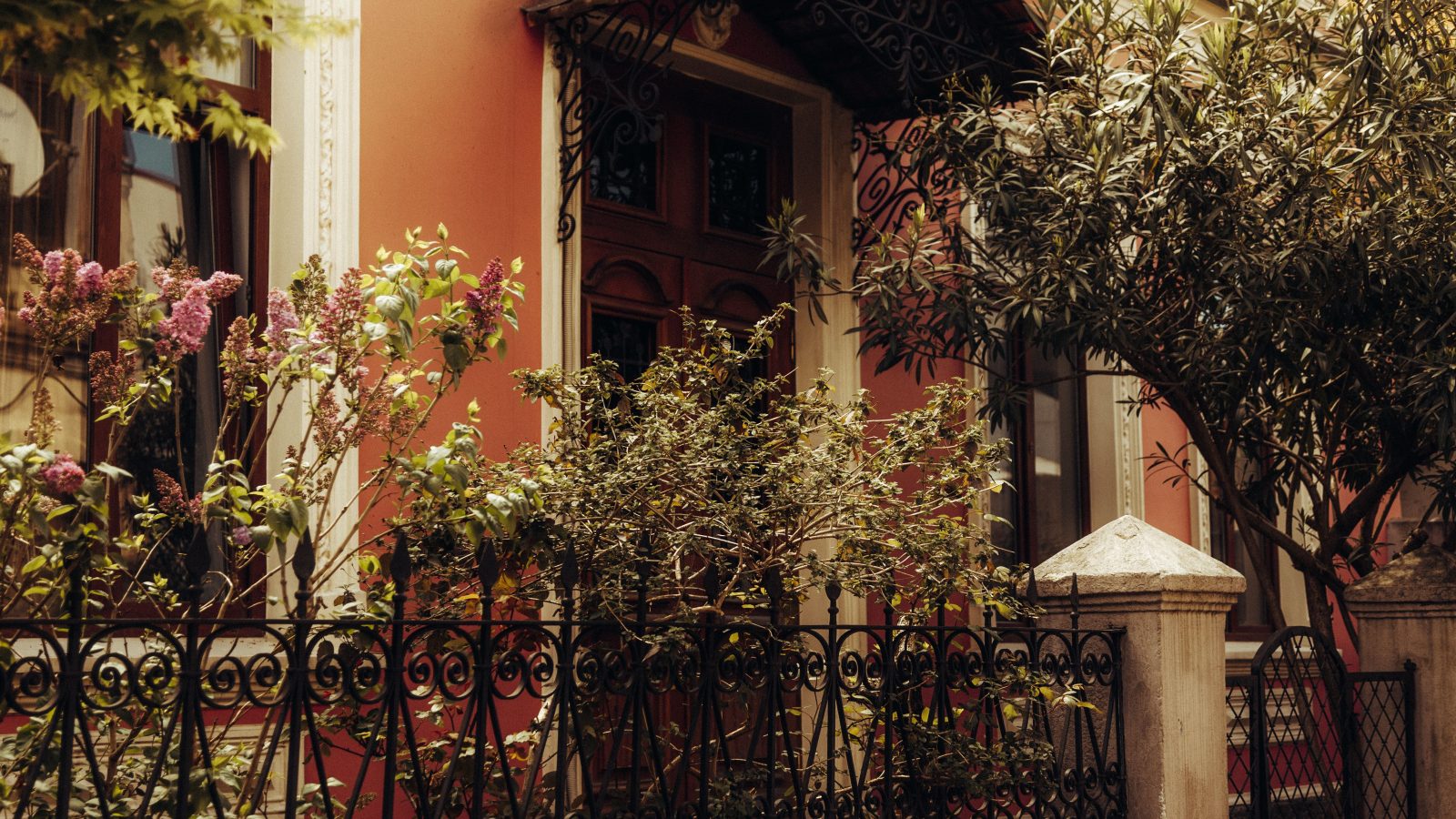 Elegance With Detail
